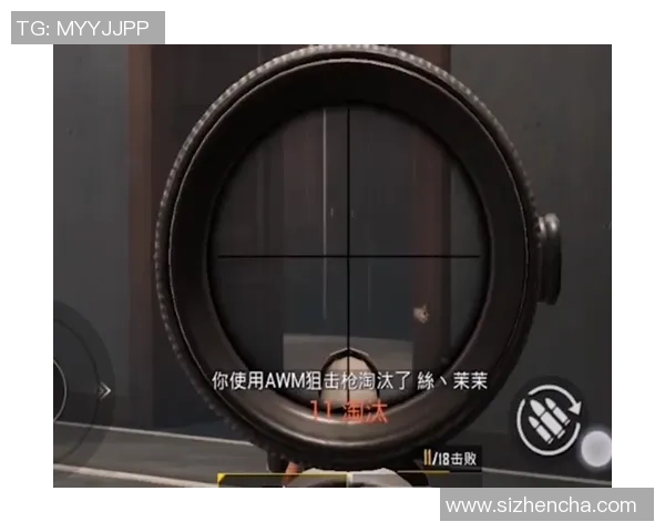 和平精英战术分析：WE战队团队协作与配合策略深度探讨